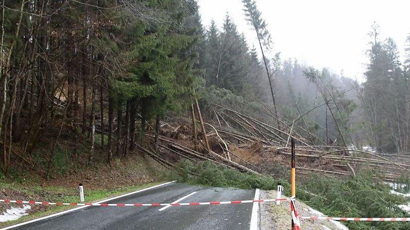 Hang rutscht auf L220