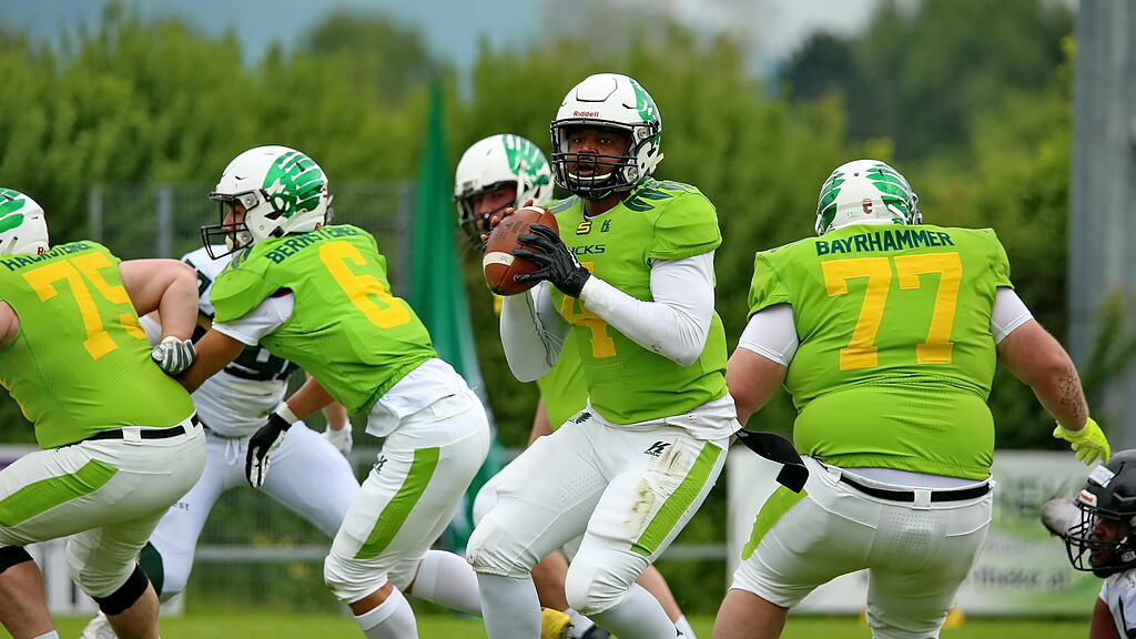 Salzburg Ducks, Danube Dragons