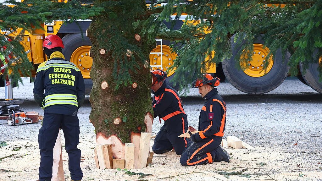 Baum am Christkindlmarkt eingetroffen II