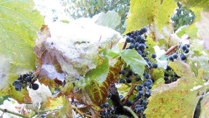 Die ersten Schneebilder der S24.at-User
