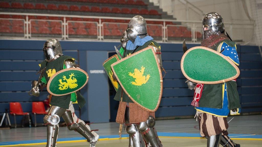 Battle of Nations: Qualifikation in Salzburg