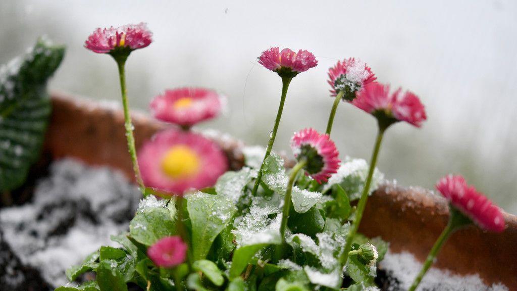 Wintereinbruch im April
