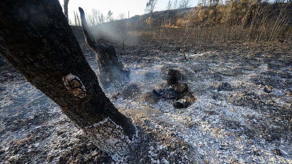 17.000 Hektar Land bei Waldbrand in Frankreich zerstört