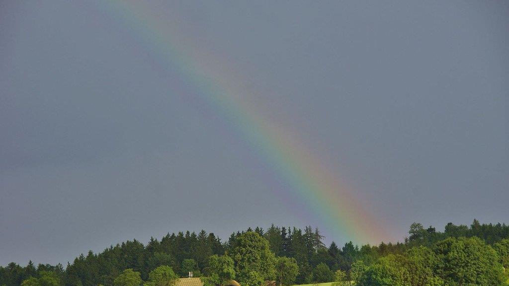 Impressionen aus Gschwandt