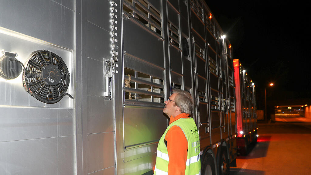 Manfred Pledl, Kontrolle, Tiertransporter