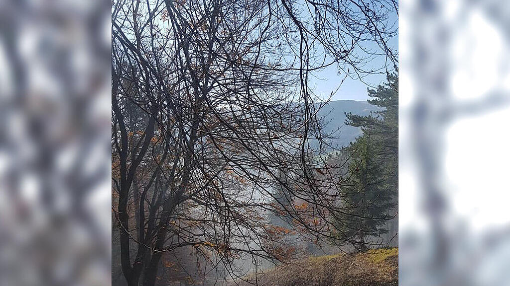 Flughelfer aus Salzburg bei Waldbrand in NÖ
