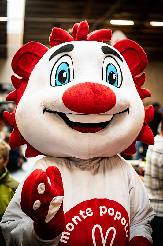 Wintertauschbörse der AK Salzburg I