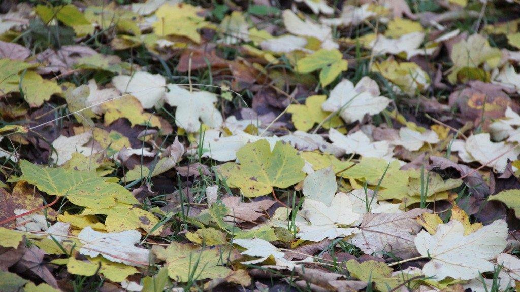 Goldener Herbst in Bayern
