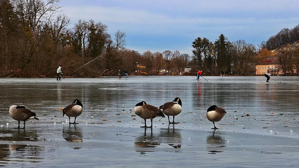 Leopoldskroner Weiher