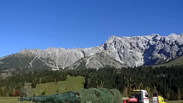 Christbaum aus Maria Alm