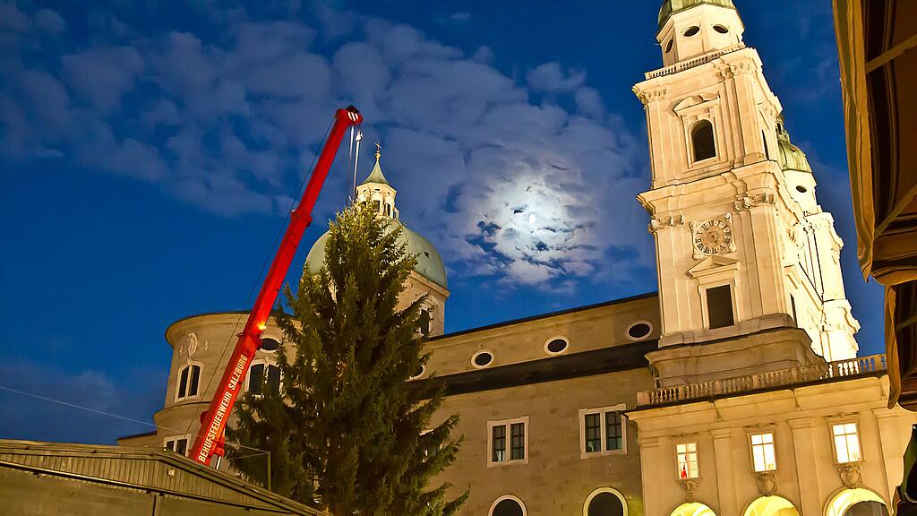 Der Baum für den 43. Christkindlmarkt wurde Dienstagabend aufgestellt.
