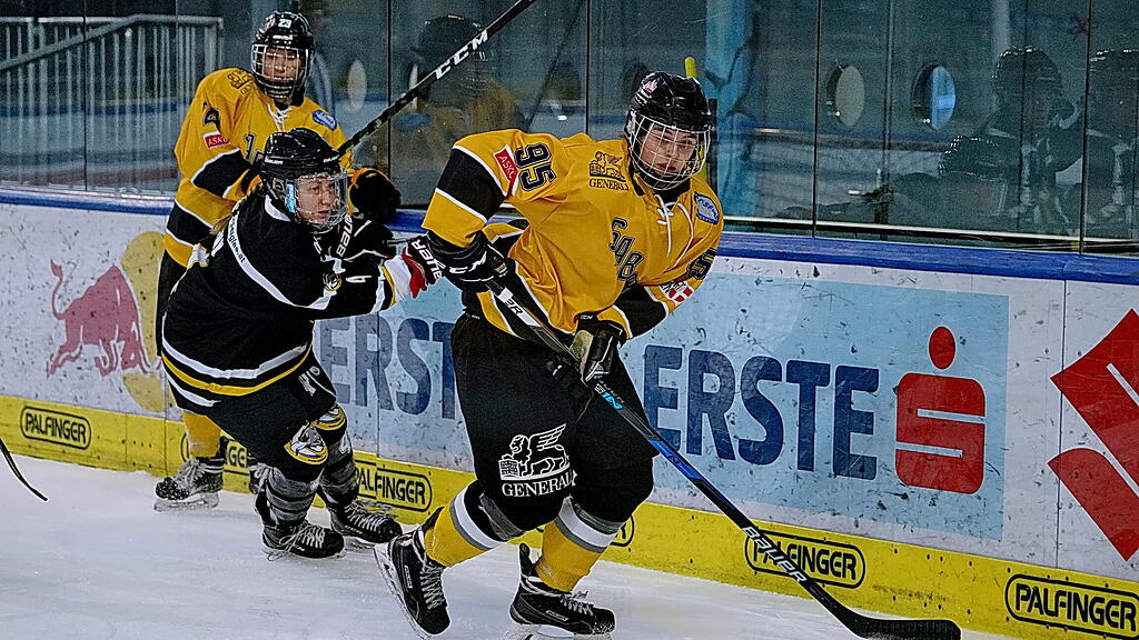 Eishockey: Salzburg Eagles gegen Vienna Sabres