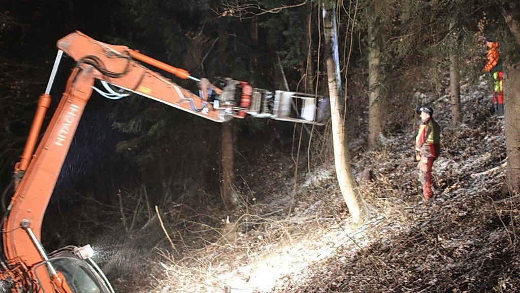 Rodungsarbeiten an der A1