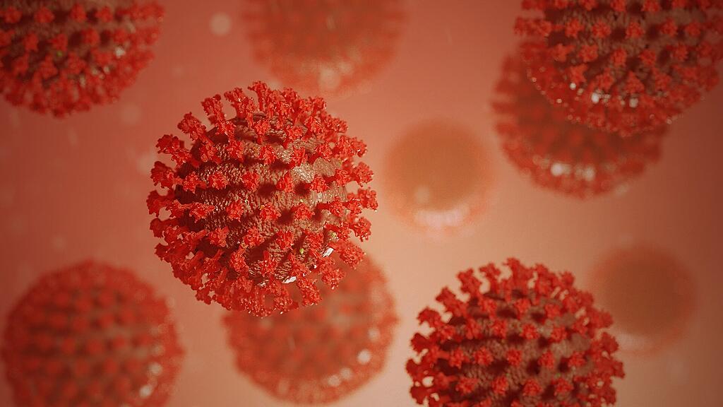 Corona, Coronavirus