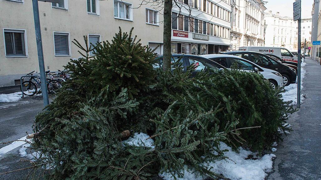christbaumentsorgung.jpg