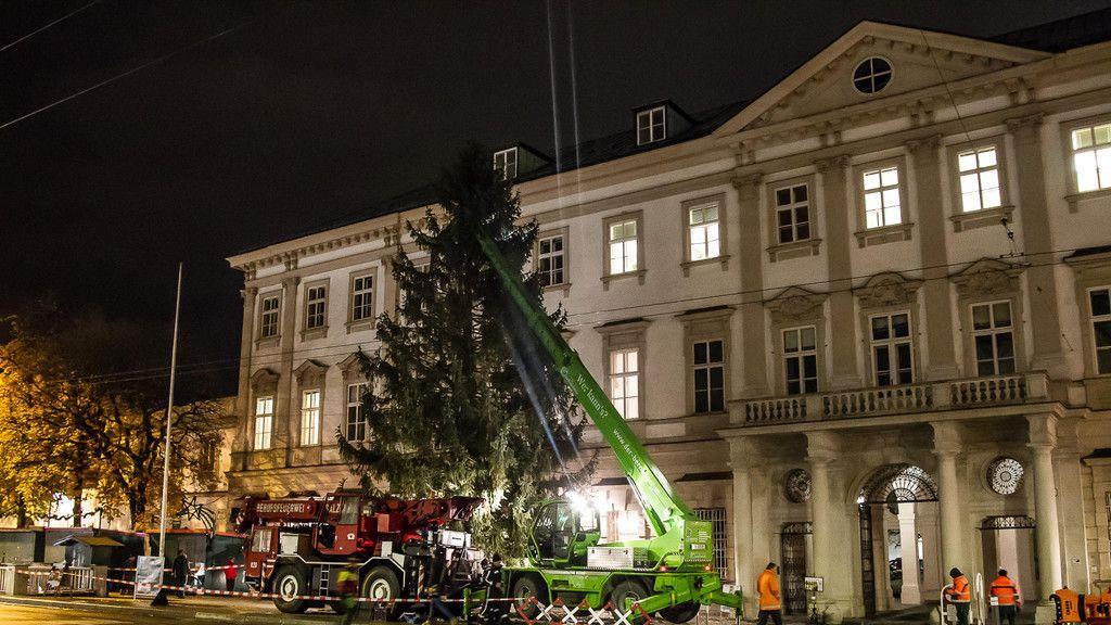 Christbaumaufstellen vor dem Schloss Mirabell