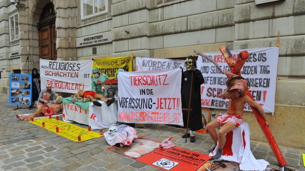 Tierschutz in die Verfassung: Protest in Wien (15.10.12)