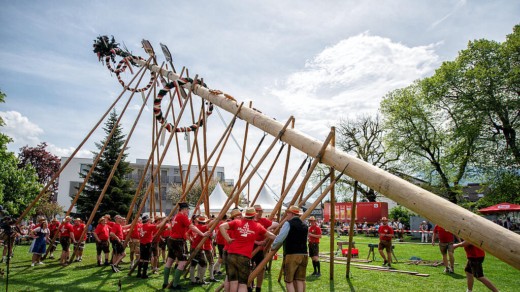 Maibaumaufstellen bei der Stiegl Brauwelt