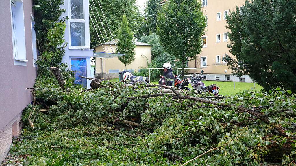 20230826_fmt_sturmschaeden_stadt_salzburg_mw-10.jpg