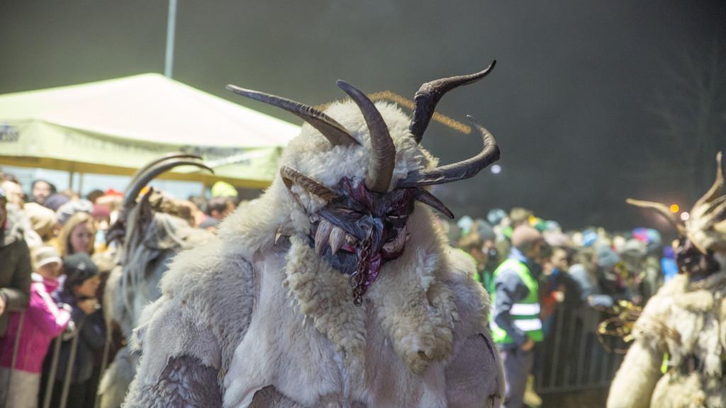 Krampuslauf St.Martin III