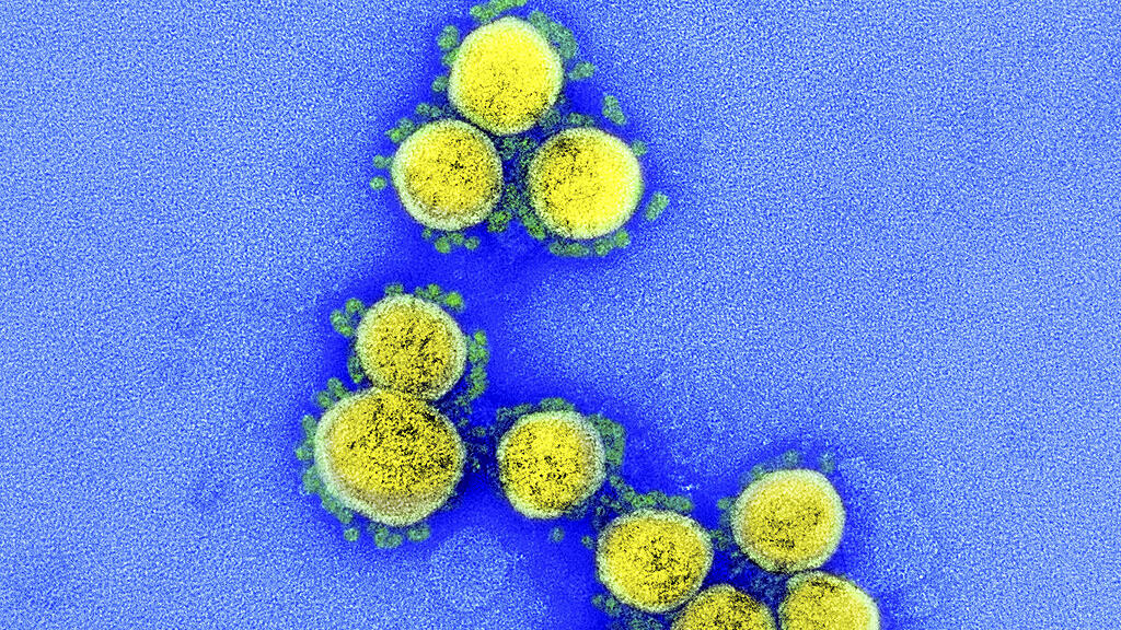SARS-CoV-2-Infektionen betreffen immer mehr Jüngere