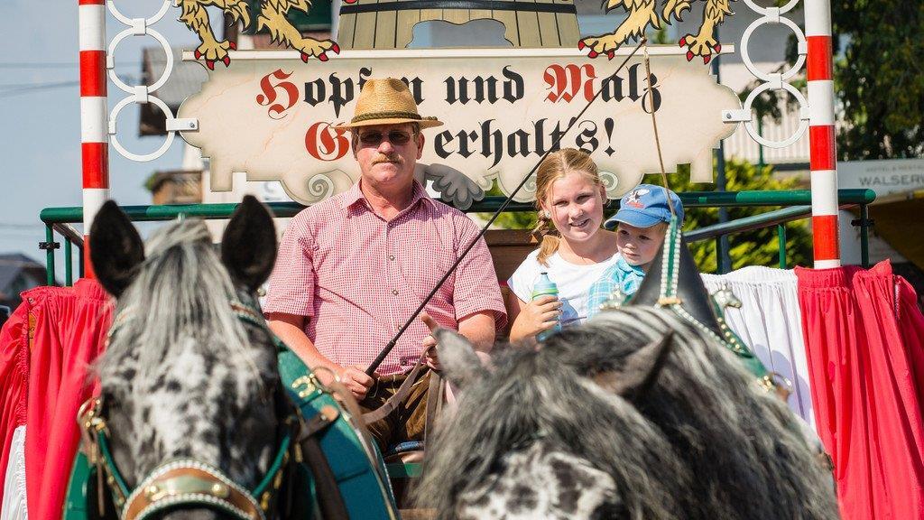 Walser Dorffest 2015, II