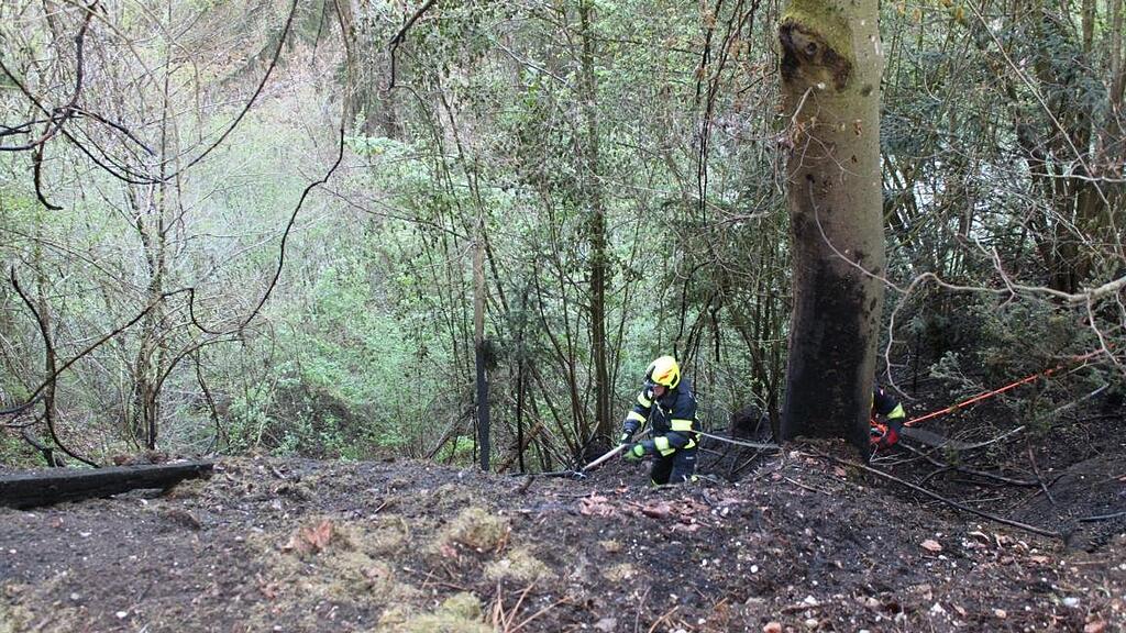 Aufgrund starker Trockenheit geriet eine Waldfläche von etwa 250 Quadratmeter in Brand.