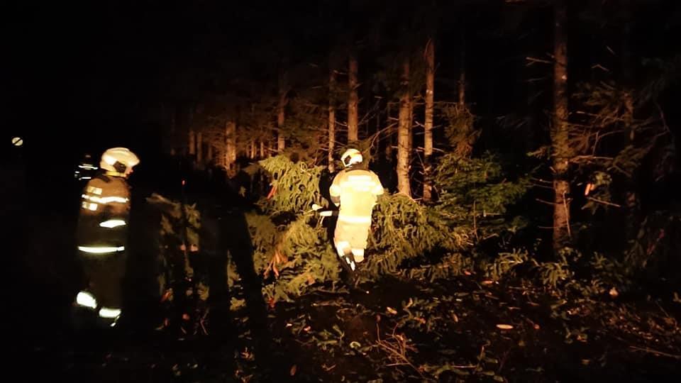 Feuerwehr Thalgau im Einsatz