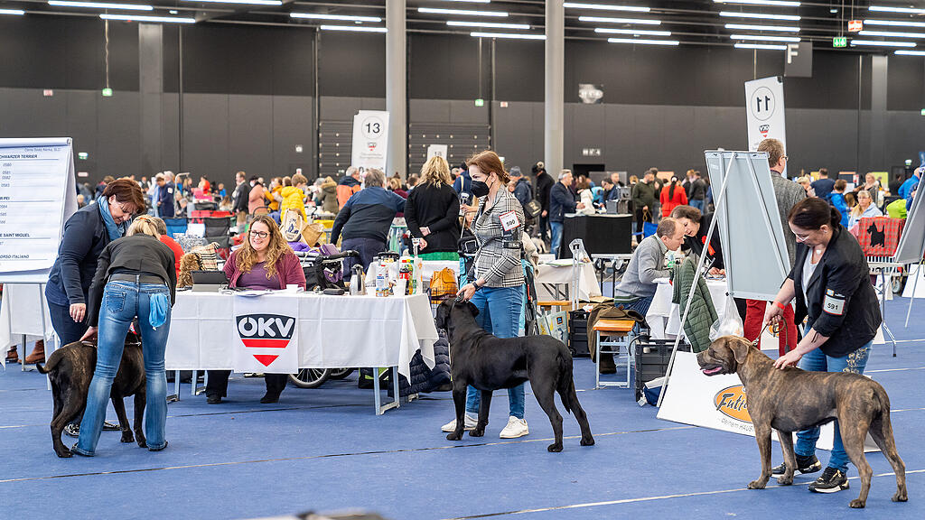 Internationale Hundeausstellung Salzburg 2022