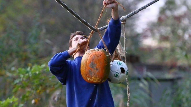 Halloween im Zoo