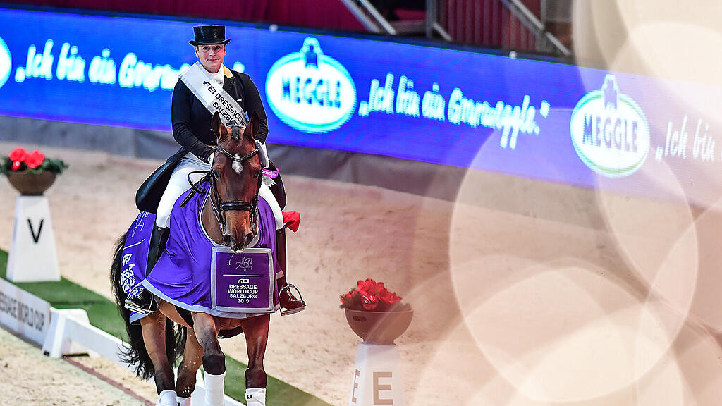 Amadeus Horse Indoors
