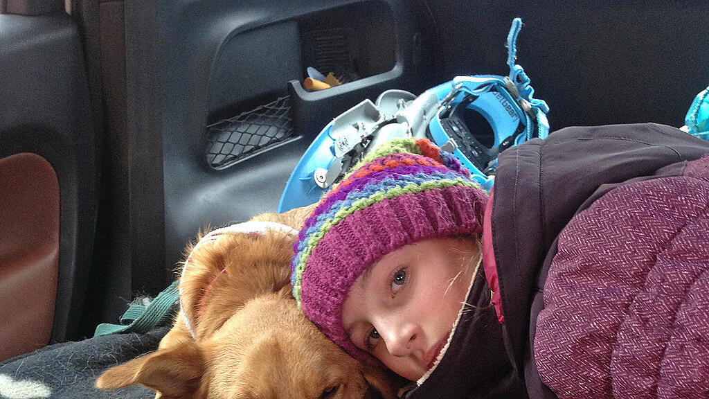 Hund Teddy Schneizlreuth