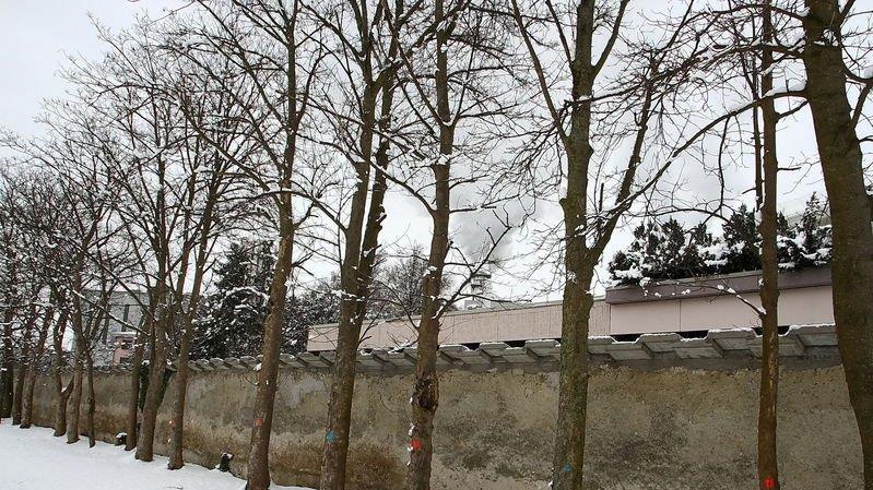 Bilder aus Klessheim