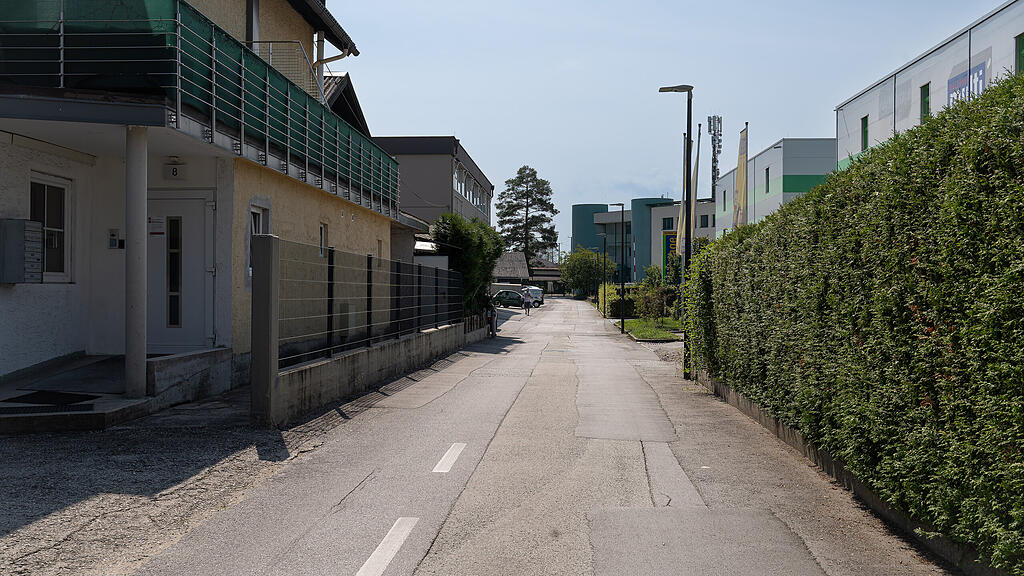 20250820-DSC00776