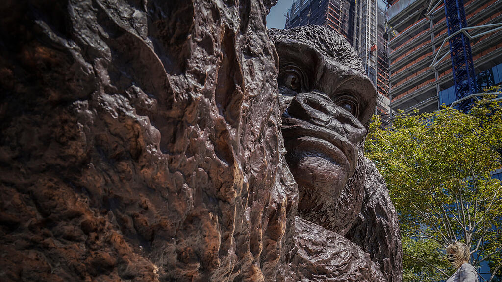 King Nyani, Gorilla, New York