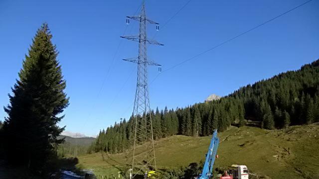 Christbaum aus Maria Alm