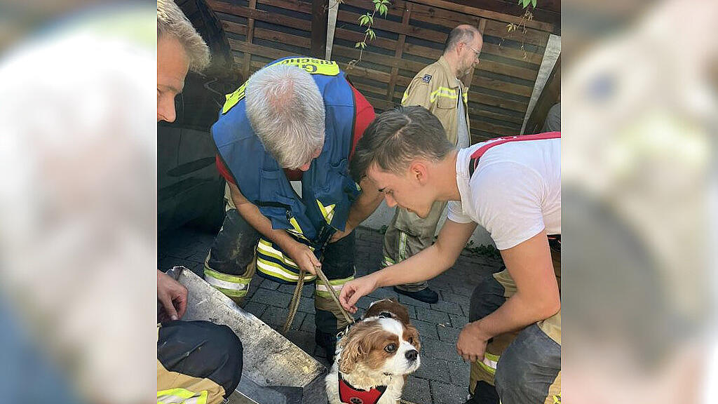 Feuerwehr Bischofshofen und ÖAMTC retten Hund aus Hitze-Auto