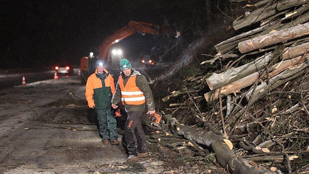 Rodungsarbeiten an der A1