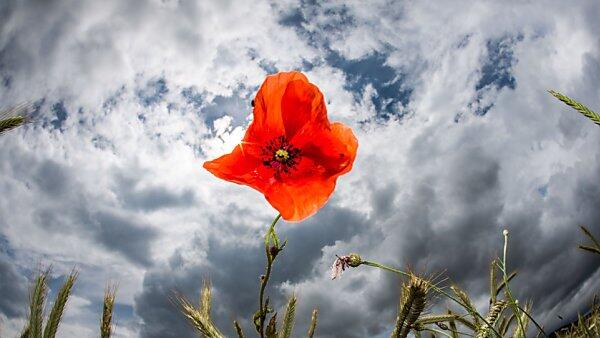 Sonne oder Wolken, wer gewinnt?