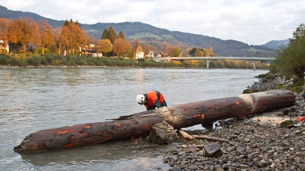 Berufsfeuerwehr barg Riesen-Baumstamm