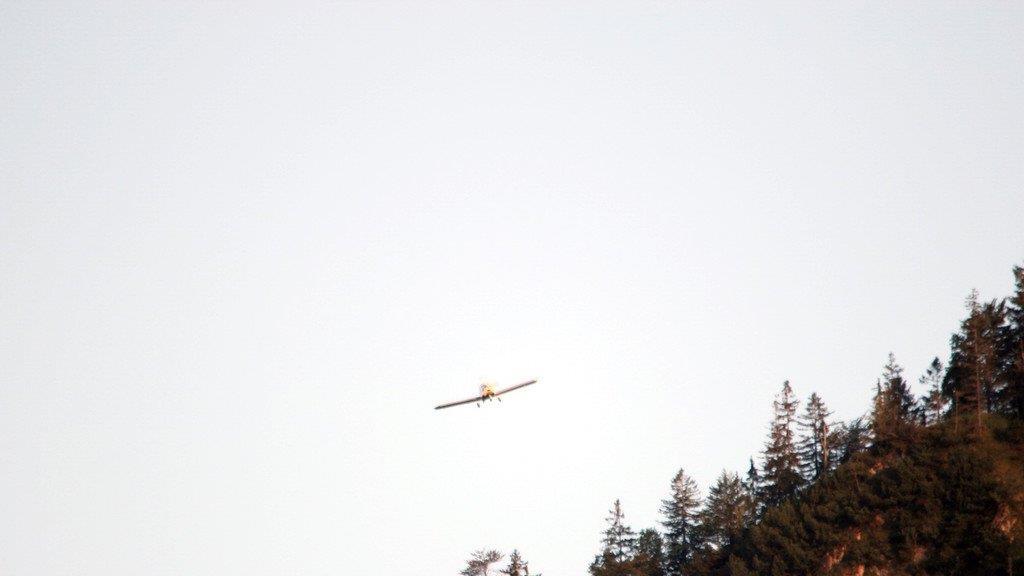 Segelflugzeug in Baumkronen