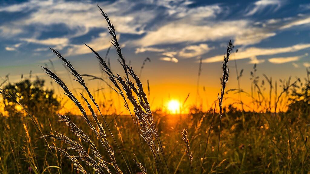 symb_sommer symb_sonne symb_feld symb_wetter