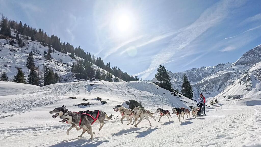 Schlittenhunderennen in Sportgastein