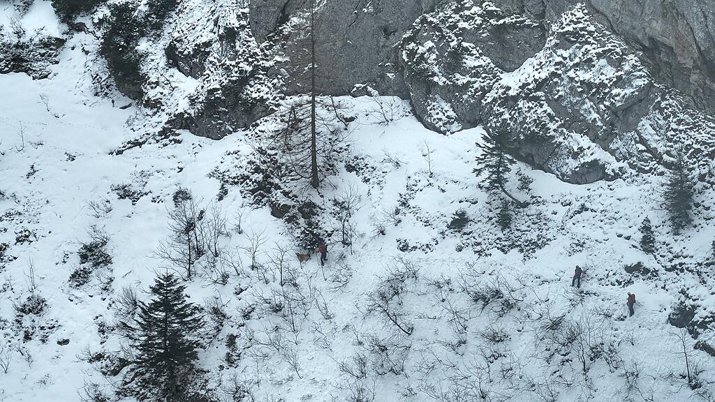 DJI_20240102133945_0021_Z.JPG