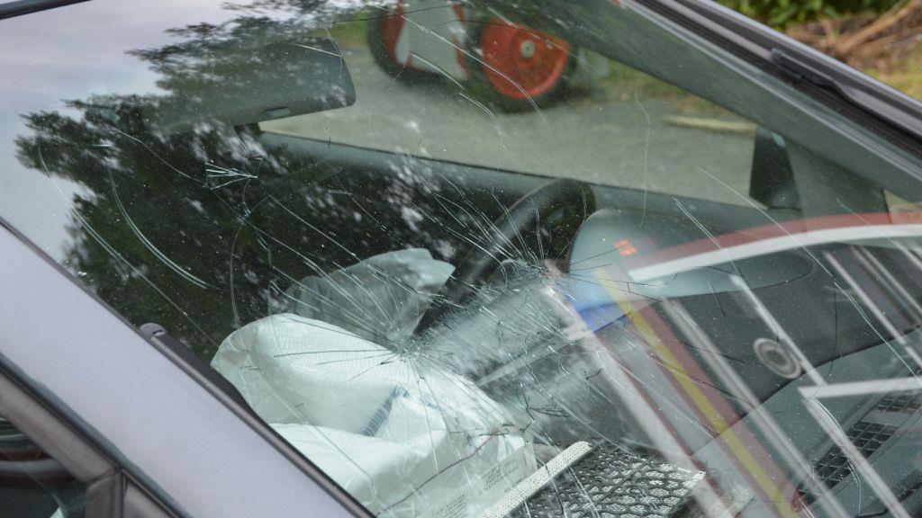Pinzgauerinnen in Bayern verletzt, I