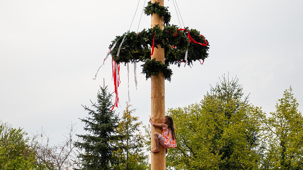 Maibaumaufstellen in Aigen