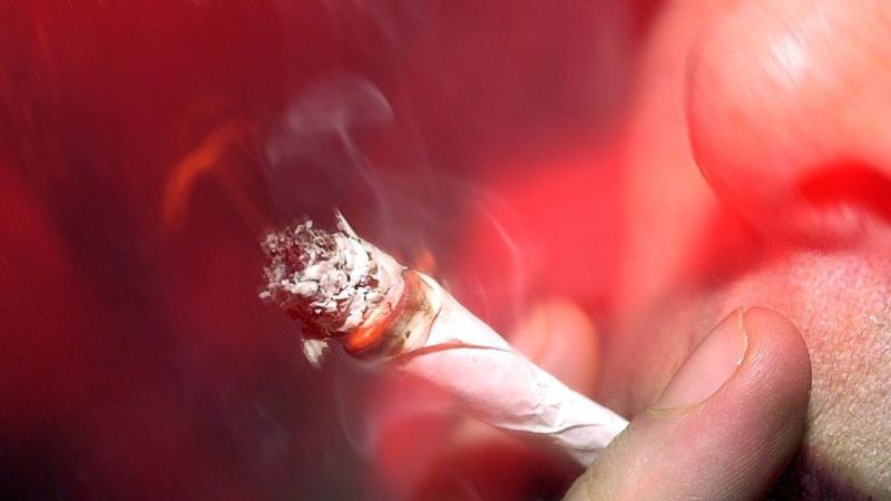 Die Beamten stellten das Cannabis sicher.