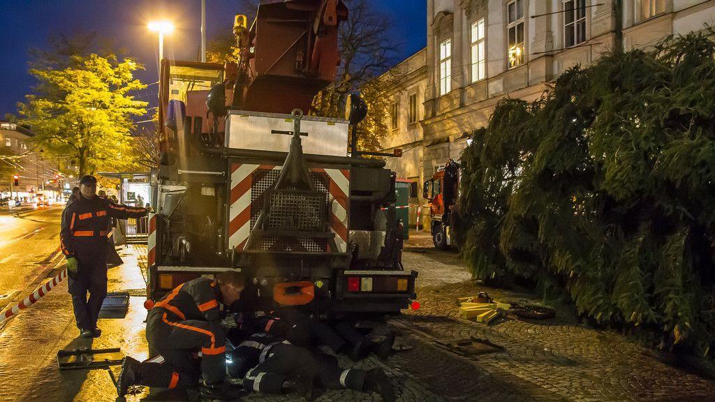 Christbaumaufstellen vor dem Schloss Mirabell