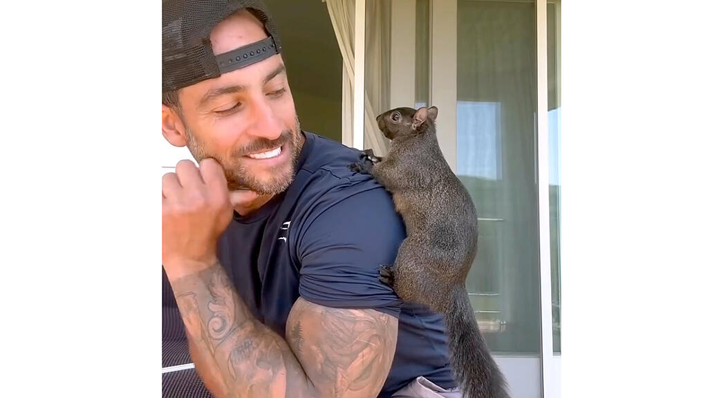 Peanut