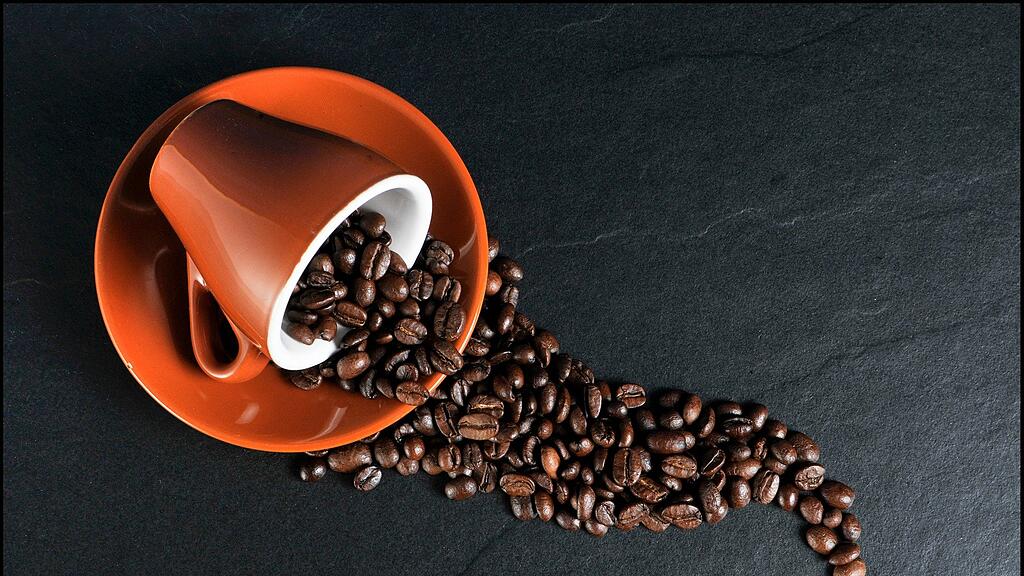 SB: Kaffee, Kaffeebohne